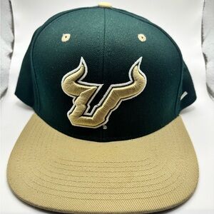 FSU Bulls Florida Zephyr Green and Tan Hat